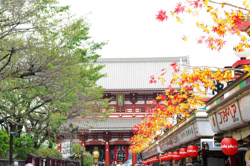 日本浅草寺的图片(10张)