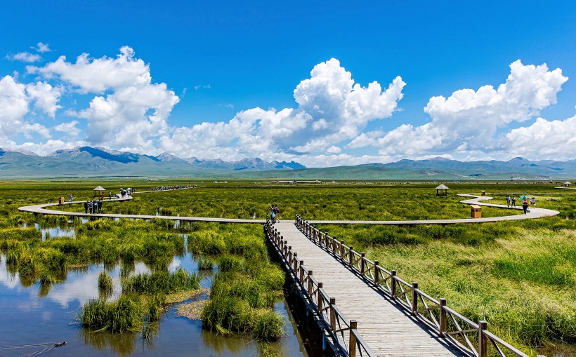 四川若尔盖花湖风景图片(9张)