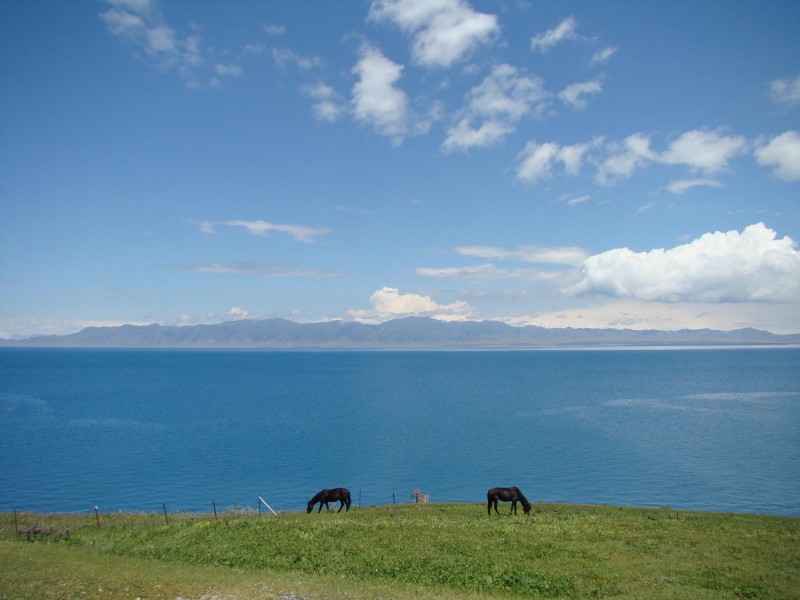 新疆赛里木湖图片(26张)