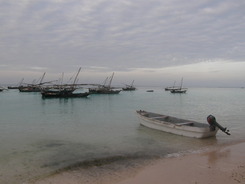 烟台桑岛海豚湾的早晨风光图片(10张)