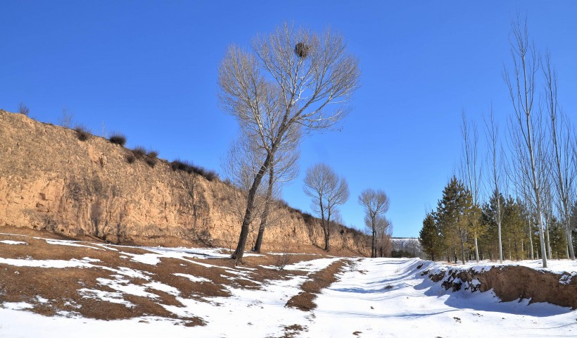 山西朔州杀虎口风景图片(43张)