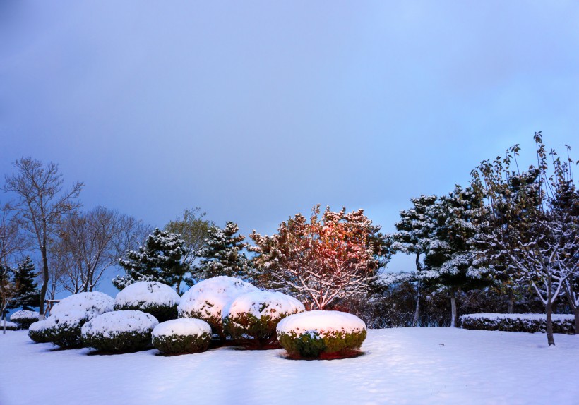 山东威海的雪景图片(6张)