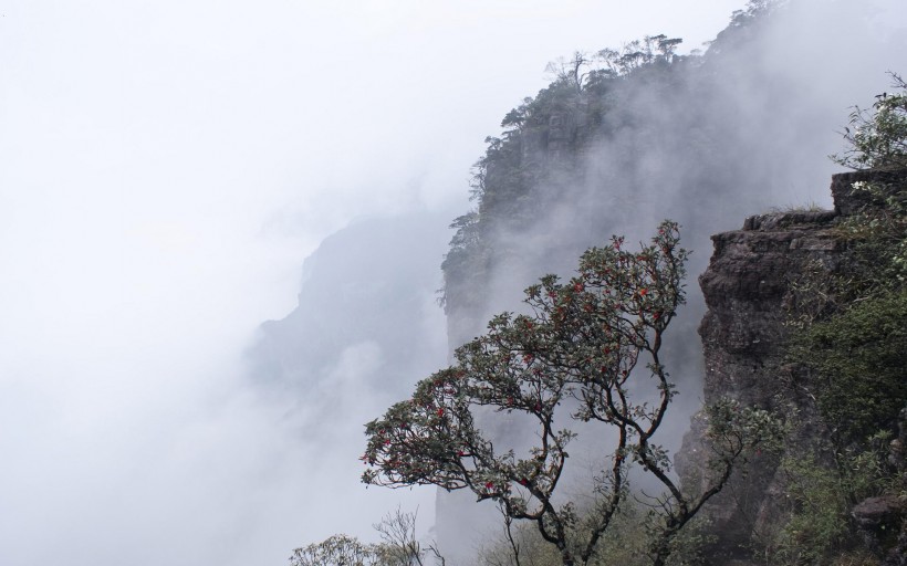 金秀圣堂山风景图片(5张)