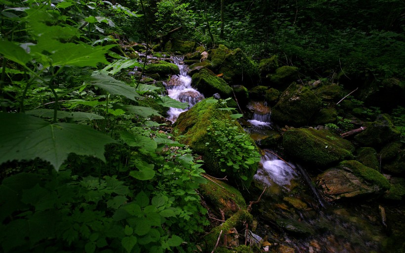 湖北神农架风景图片(23张)