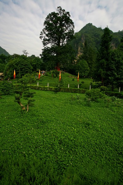 湖北神农架风景图片(23张)