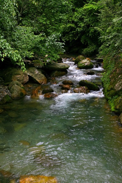 湖北神农架风景图片(23张)