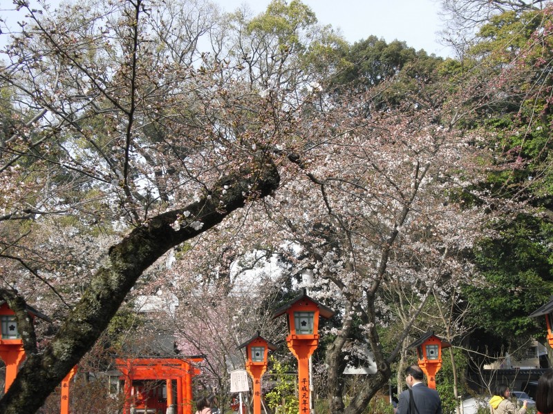 日本神社图片(29张)