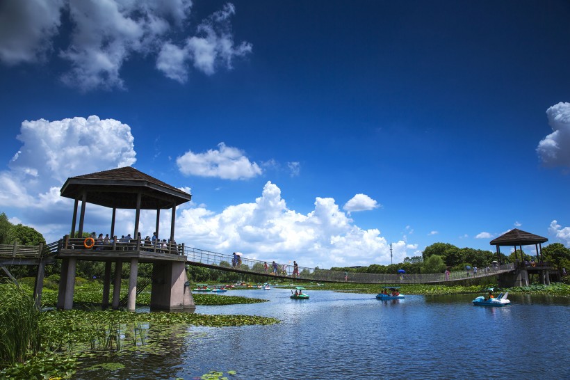 山东胶州湿地公园风景图片(10张)