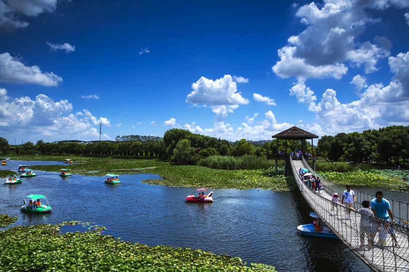 山东胶州湿地公园风景图片(10张)