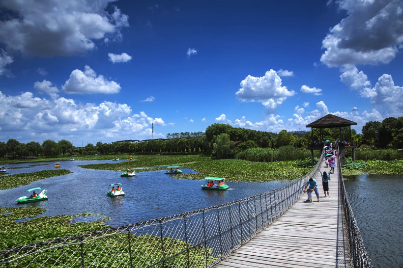 山东胶州湿地公园风景图片(10张)