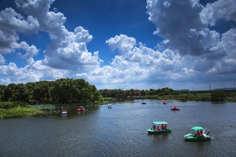 山东胶州湿地公园风景图片(10张)