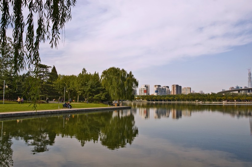 上海世纪公园风景图片(10张)