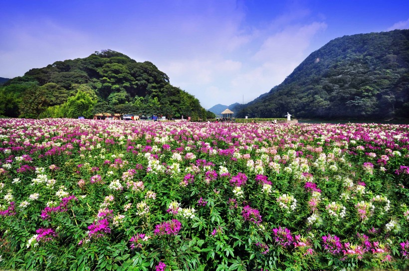 广东从化石门国家森林公园风景图片(9张)