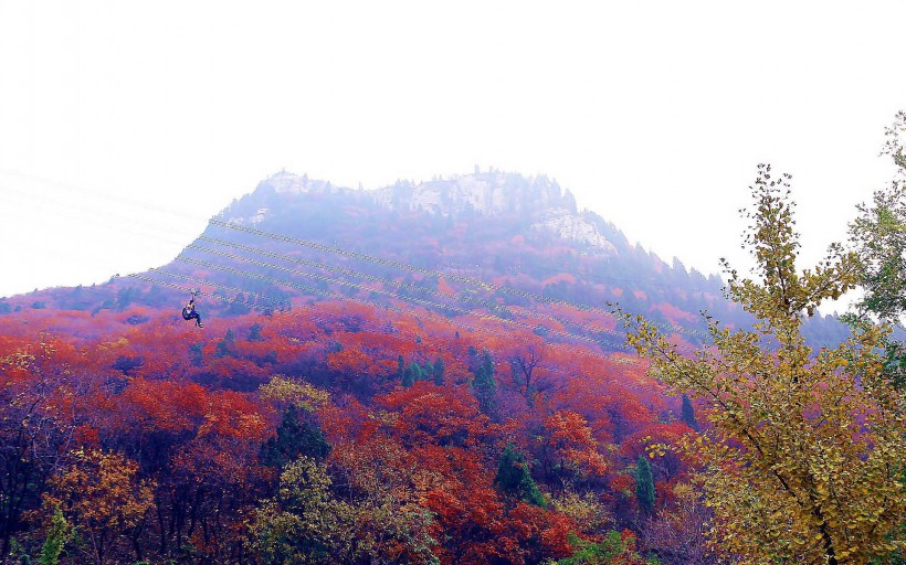 山东石门坊枫叶风景图片(19张)