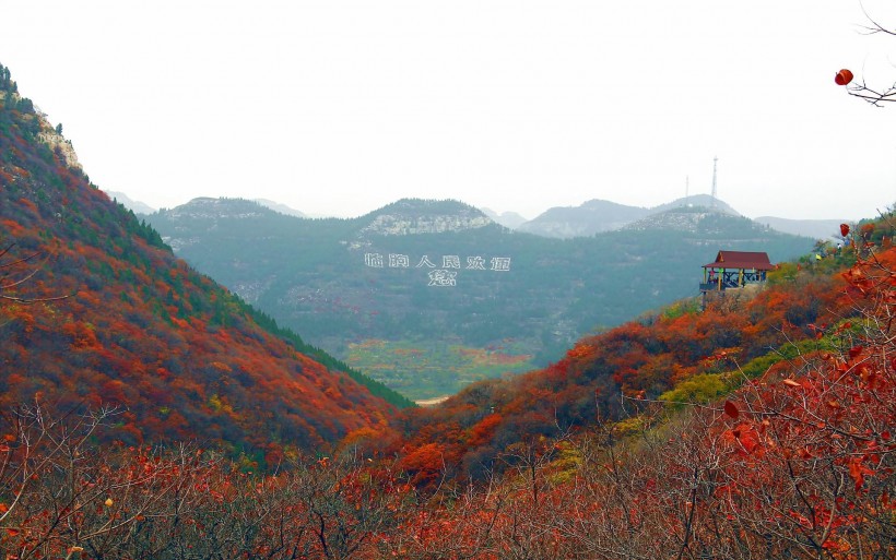 山东石门坊枫叶风景图片(19张)