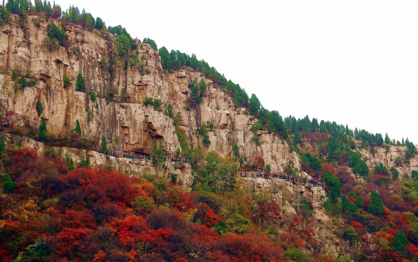 山东石门坊枫叶风景图片(19张)