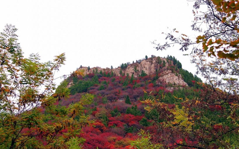 山东石门坊枫叶风景图片(19张)