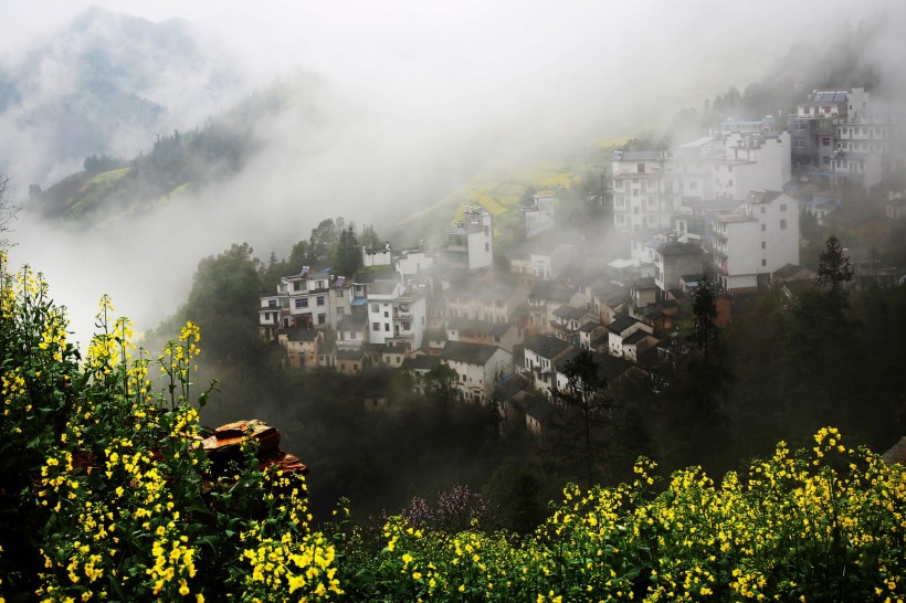 安徽石潭油菜花风景图片(10张)