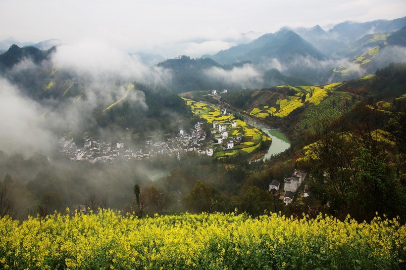 安徽石潭油菜花风景图片(10张)