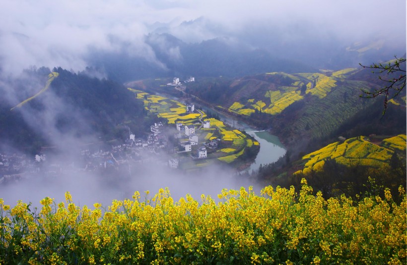 安徽石潭油菜花风景图片(10张)