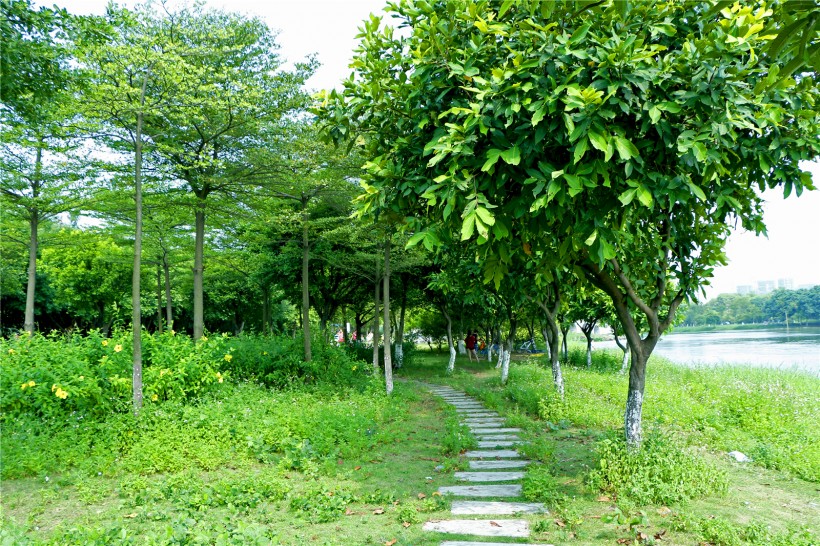 广东顺德顺峰山公园风景图片(29张)