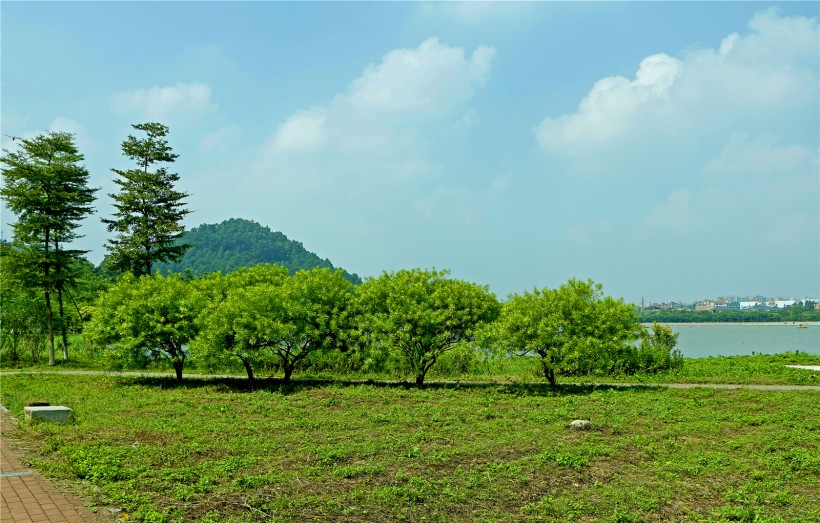 广东顺德顺峰山公园风景图片(29张)