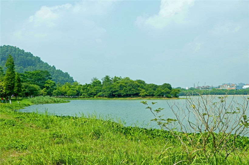 广东顺德顺峰山公园风景图片(29张)