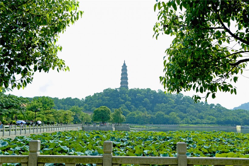 广东顺德顺峰山公园风景图片(29张)