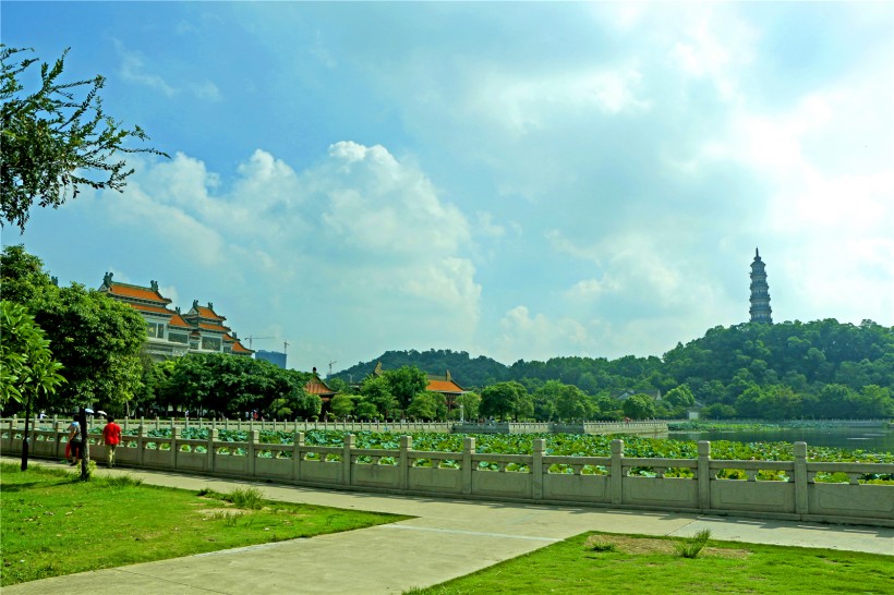 广东顺德顺峰山公园风景图片(29张)