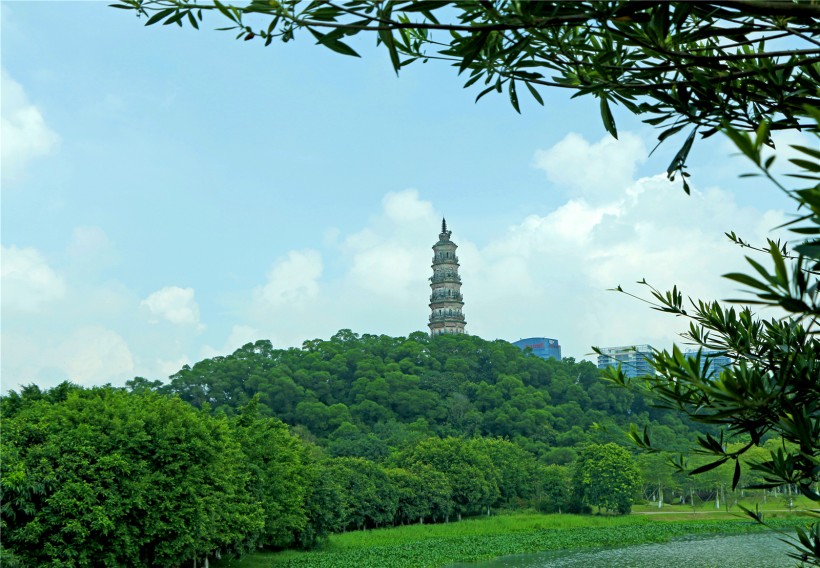 广东顺德顺峰山公园风景图片(29张)