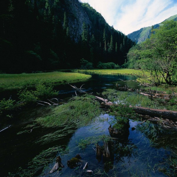 四川九寨沟风光图片(47张)