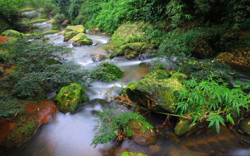 贵州赤水四洞沟风景图片(20张)