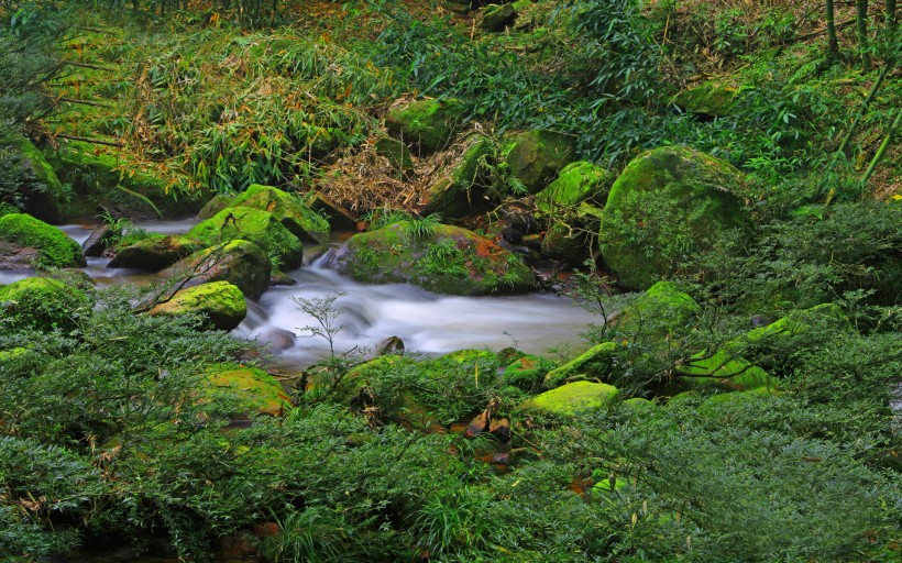 贵州赤水四洞沟风景图片(20张)