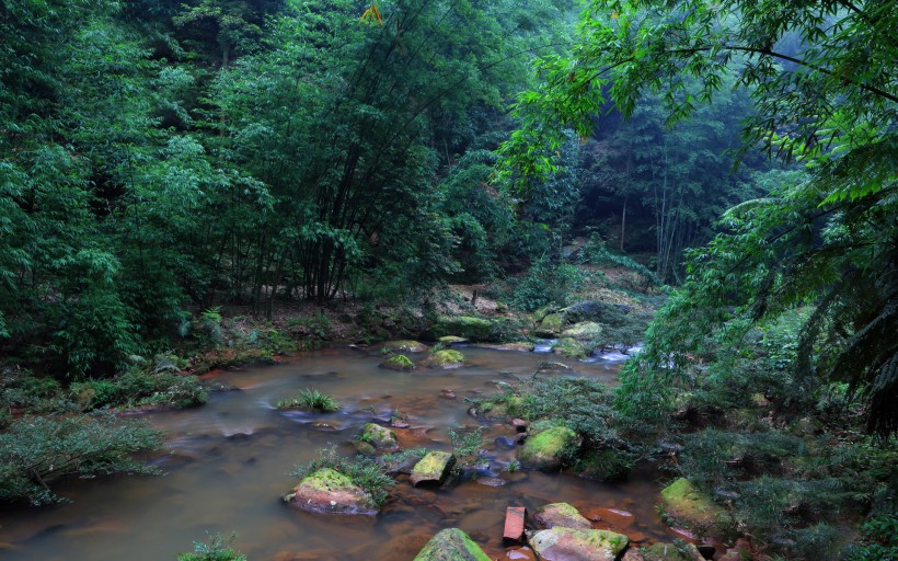 贵州赤水四洞沟风景图片(20张)