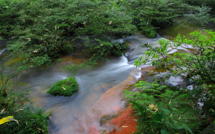 贵州赤水四洞沟风景图片(20张)