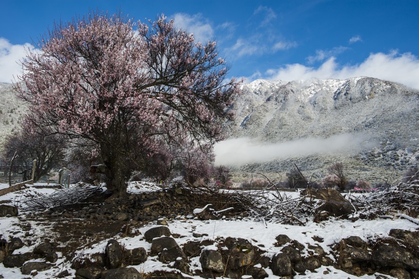 雪后的索松村风景图片(17张)