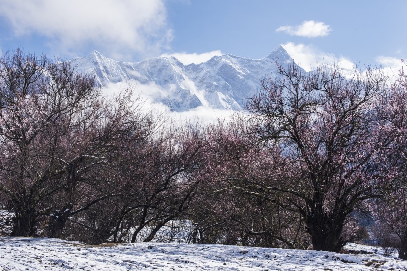 雪后的索松村风景图片(17张)