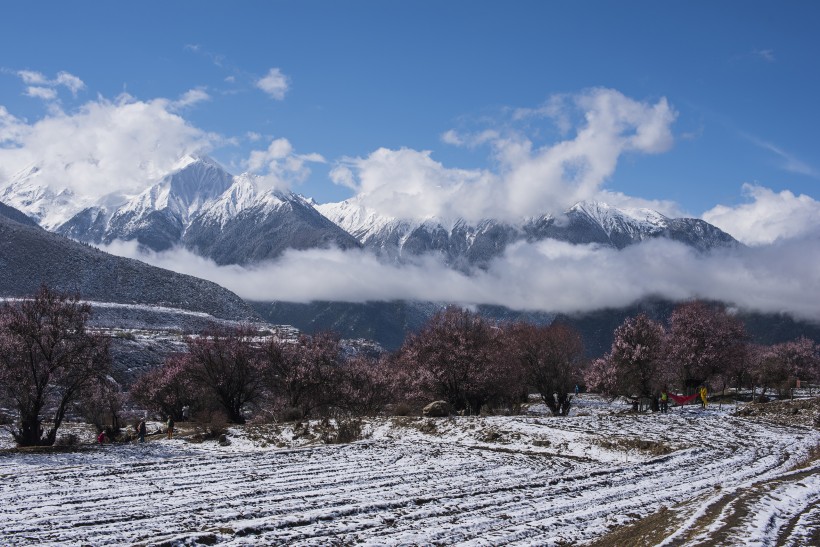 雪后的索松村风景图片(17张)