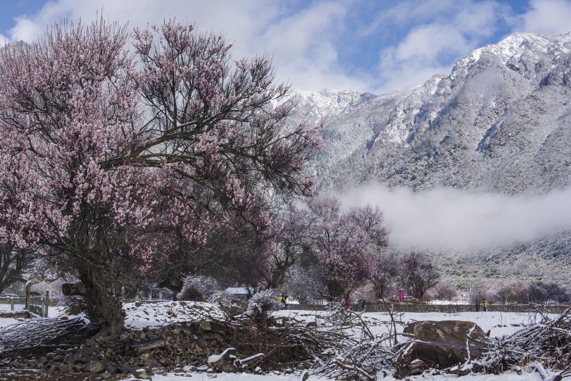 雪后的索松村风景图片(17张)