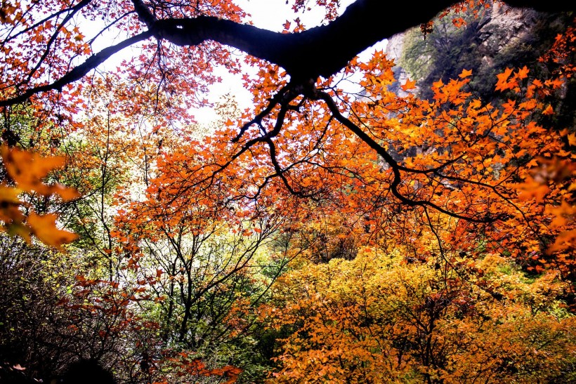 山西太行山风景图片(18张)