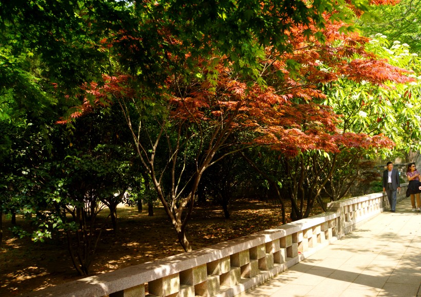 河南鹿邑太清宫风景图片(23张)