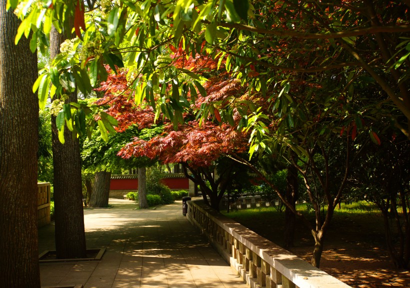 河南鹿邑太清宫风景图片(23张)