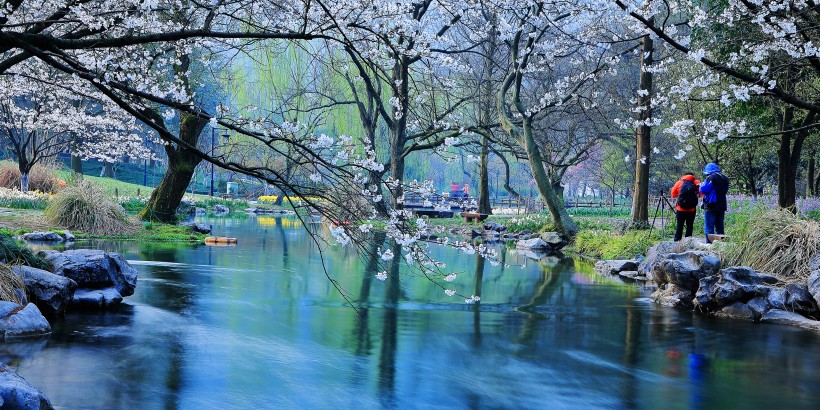 浙江杭州太子湾春天景色图片(8张)