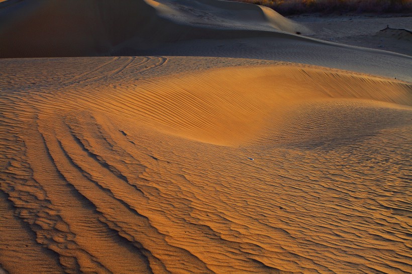 新疆塔克拉玛干沙漠风景图片(14张)