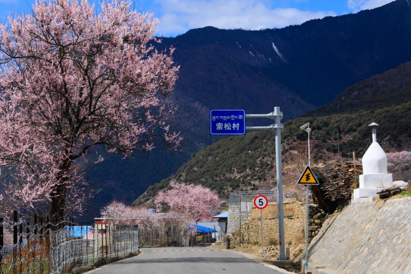 西藏林芝桃花沟风景图片(11张)