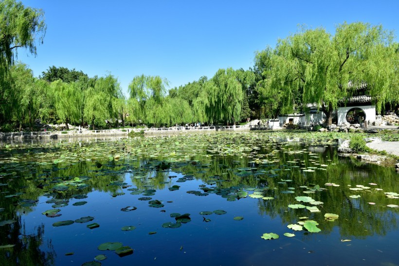 北京陶然亭夏天风景图片(13张)