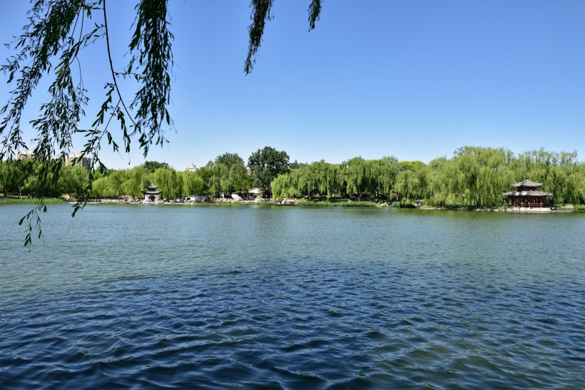 北京陶然亭夏天风景图片(13张)