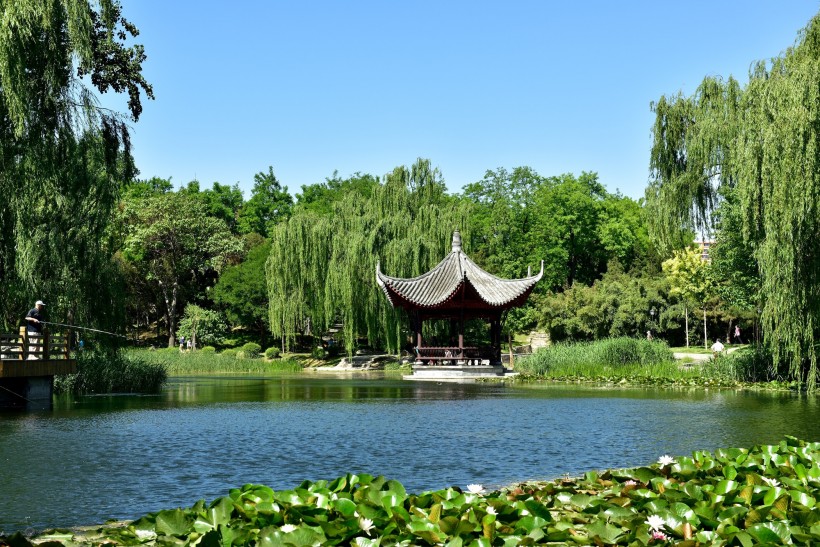北京陶然亭风景图片(14张)