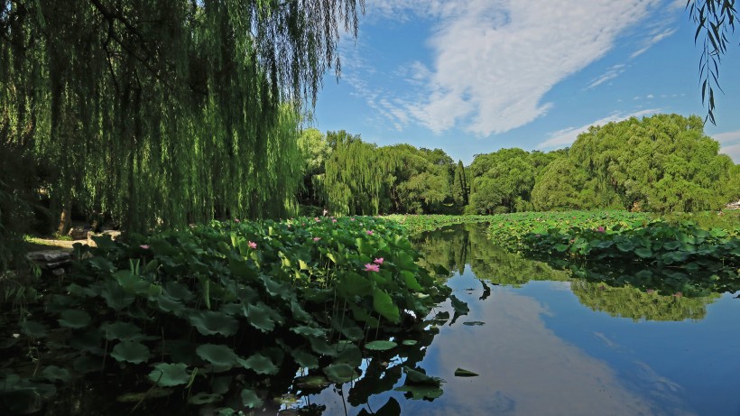 北京紫竹院公园风景图片(12张)