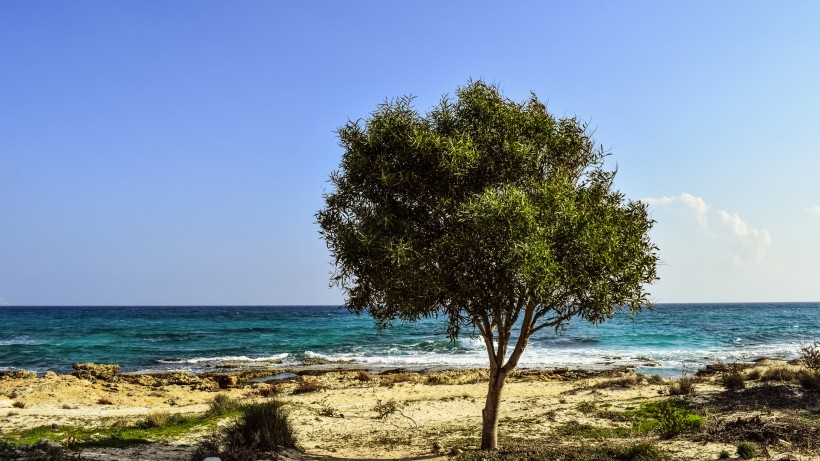 塞浦路斯风景图片(8张)